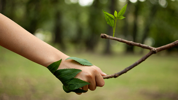 Los deseos del medio ambiente para 2018 