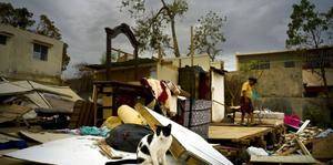 Desastres causan cada a&#241;o el desplazamiento de casi 14 millones de personas 