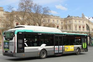 Menos carne, más buses eléctricos: recetas del BID para una América 