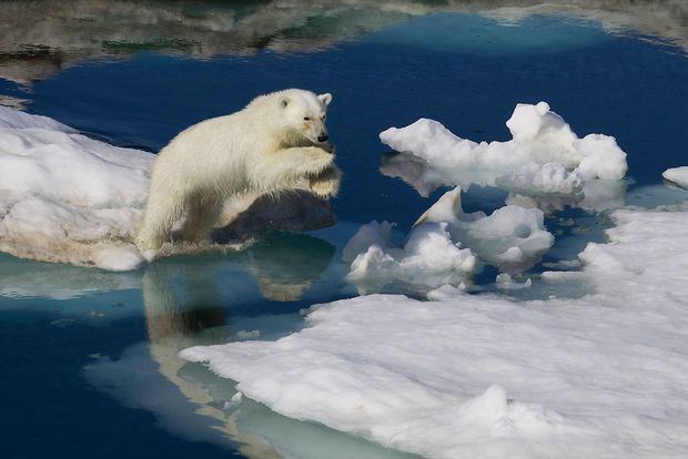 Los glaciares de Groenlandia.