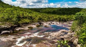 Colombia recupera 248 hectáreas de un parque natural amenazado por la deforestación