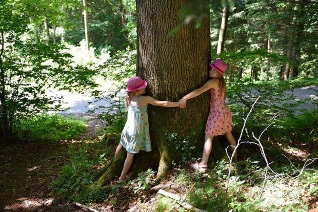 Ecología y Medio Ambiente: cuál es su papel en nuestras vidas.