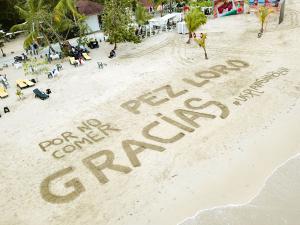 Artistas usaron las playas como lienzos en defensa del Pez Loro