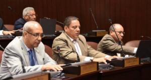 Diputados declaran heroína a Rosa Duarte y ordena repatriación de sus restos