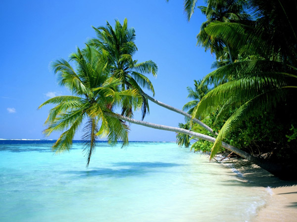 República Dominicana participará en 42 ferias turísticas en el 2018