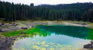 La COP de Biodiversidad ultima un acuerdo entre críticas por falta de avances