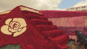 Ecuador busca romper un récord Guinness con una pirámide ancestral de rosas