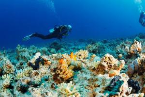 La conservación marina centra la cumbre 