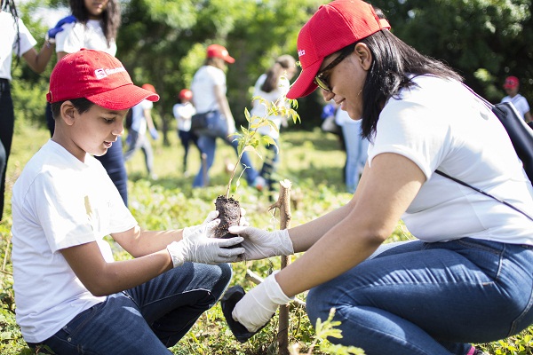 Reforesatación