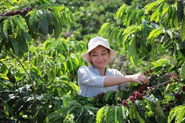 Nescafé invertirá mil millones de euros para impulsar la sostenibilidad del café en 2030.