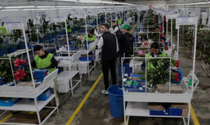 Acuerdos fronterizos impulsan a EE.UU. a aplazar la implementación de aranceles