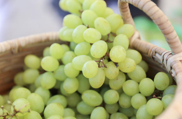 Uvas de mesa.
