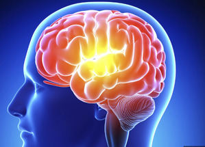 El cerebro puede entrenarse con hielo y dolor para gozar del ejercicio, revela un estudio