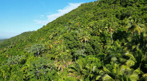 R. Dominicana lanza plataforma de financiamiento climático con apoyo del Fondo Verde para el Clima en la COP30