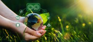 Medio Ambiente crea herramienta digital para "fortalecer" la economía "verde"