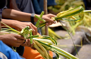 Domingo de Ramos: celebración de la entrada triunfal de Jesucristo a Jerusalén