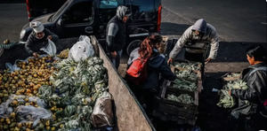 La ONU alerta sobre 1,000 millones de toneladas de alimentos desperdiciados cada año