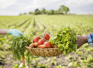 CONFENAGRO valora positivo encuentro impulsado por el Ministerio de Agricultura