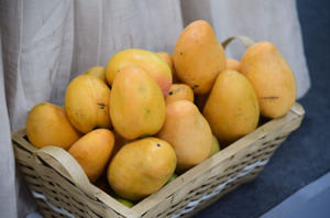 Expo Mango 2026: Baní se prepara para recibir a miles de visitantes