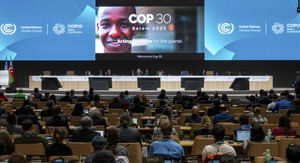 Entre la esperanza y la traición: el acuerdo de la COP29 muestra un mundo polarizado