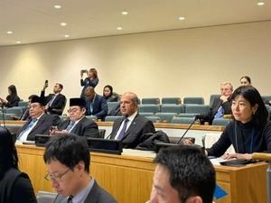 RD elegida por primera vez para la Comisión de Administración Pública Internacional de la ONU