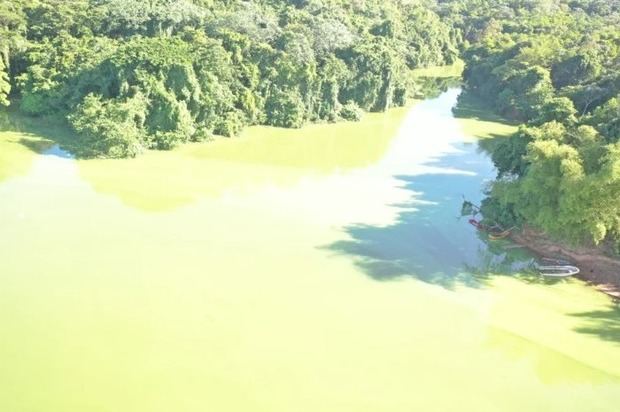 Floración de algas tiñe de verde la presa de Hatillo.