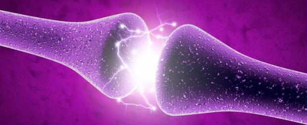 Crean neuronas artificiales que funcionan como las reales.