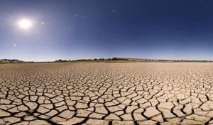 Calor extremo y sequías podrían multiplicarse por cinco para finales de siglo