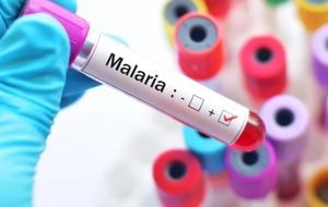 República Dominicana registra fuerte descenso en malaria y dengue