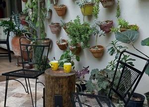 El Patio de Martín Omar: alta cocina con esencia dominicana