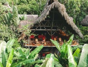 Dominican Tree House Village: El Paraíso Ecológico de Samaná con Gastronomía Artesanal 
