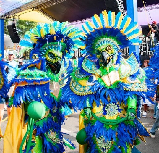 El carnaval vegano es alegría y pasión.
