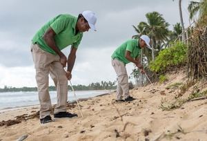 Fundación Eco-Bahía protegió casi cinco mil huevos de tortugas en 2025