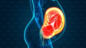 Estudio demuestra que la identidad humana tiene bases prenatales