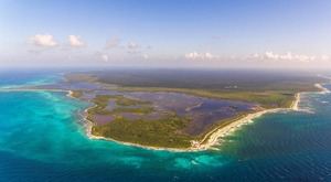 Arrecifes de coral en peligro de extinción