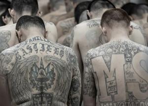 Pandilleros en El Salvador reciben penas de hasta mil años de cárcel