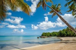 Playa Bonita entre las playas más hermosas del mundo para visitar en 2026