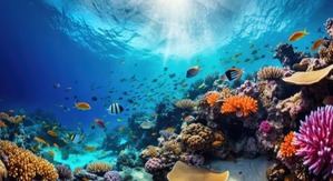 Océanos en riesgo: por qué proteger el 30% es clave para el planeta