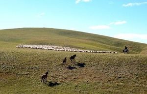 Sequías extremas amenazan ecosistemas clave