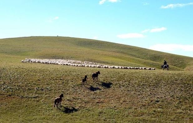 Sequías extremas amenazan ecosistemas clave.