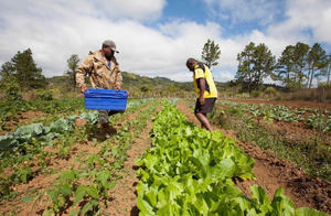 El Gobierno y la FAO se reúnen con agricultores con respecto al turismo en Pedernales
