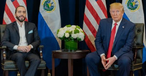 Bukele y Trump actúan fuera de la ley, con el envío de migrantes a El Salvador, dicen expertos