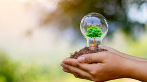 Cinco medidas clave para combatir el cambio climático, según la ONU