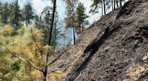 Bomberos forestales logran controlar incendio en San José de Ocoa