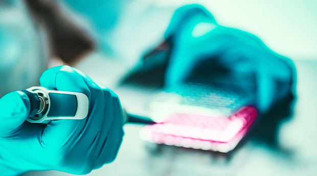 La medicina regenerativa avanza con fuerza, impulsada por las herramientas digitales.