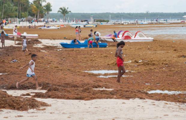 República Dominicana pide a la UNESCO que sargazo sea reconocido como emergencia regional