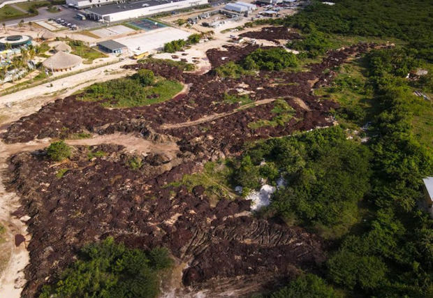 Medio Ambiente somete a la justicia a un hotel al que acusa de violar leyes ambientales.