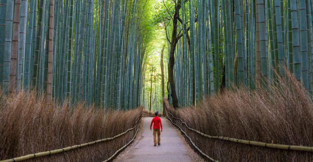 Ecoturismo: una industria en expansión que encuentra su mejor escenario en las Américas.