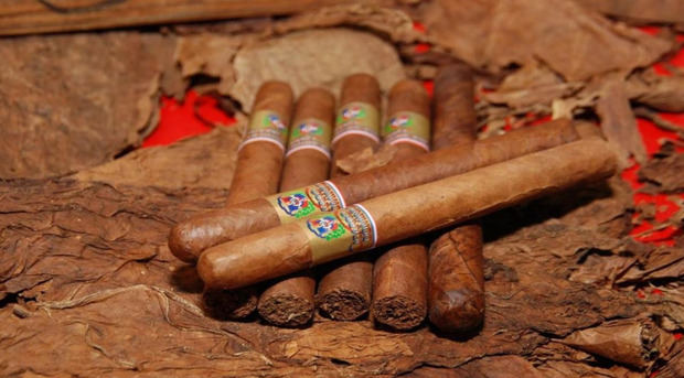 Presidente Abinader destaca que el tabaco dominicano supera los USD 1,340 millones en exportaciones y genera 122,000 empleos.
