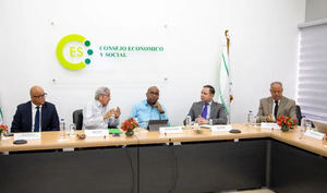 El CES continúa trabajos para presentar documento final sobre la crisis en Haití